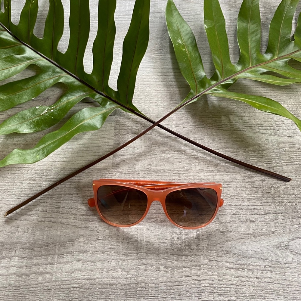 Coach Blakely sunglasses